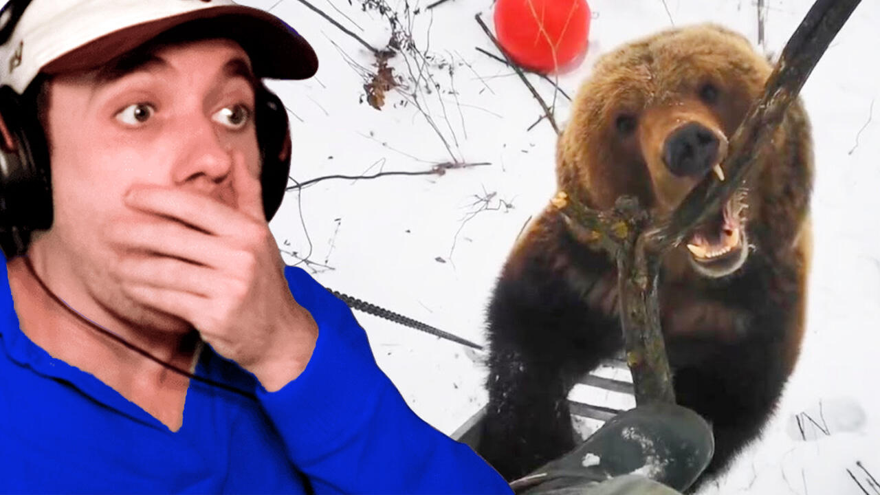 Terrifying Grizzly Bear Attack